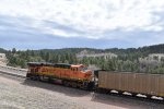 BNSF 5992